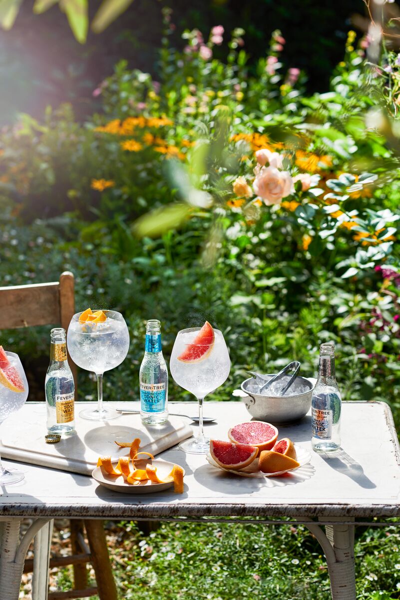 Bouteilles Fever-Tree Premium Indian Tonic Water