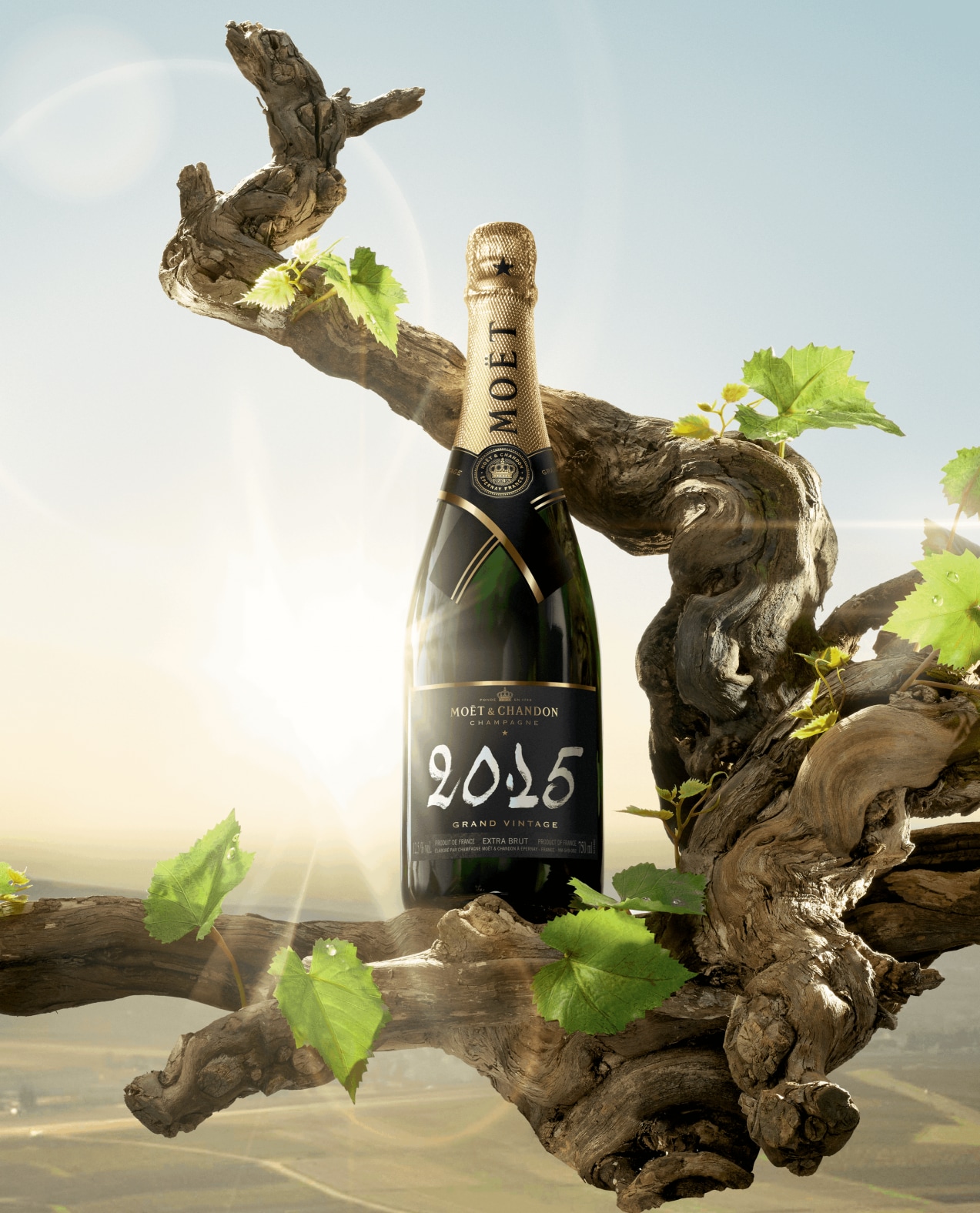 Bouteille officielle Moët & Chandon Grand Vintage 2015